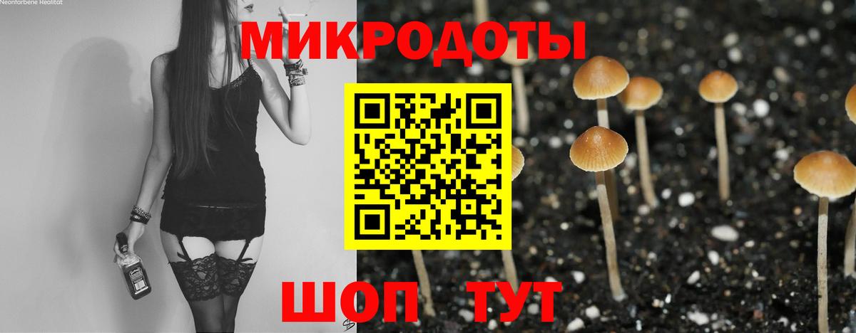 Тобольск  Галлюциногенные грибы мухоморы  Вход с VPN 